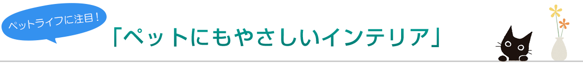 News お知らせ